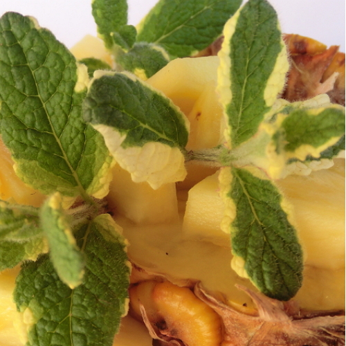 Menta