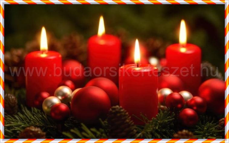 Adventi koszorúk a budaörsi kertészetben