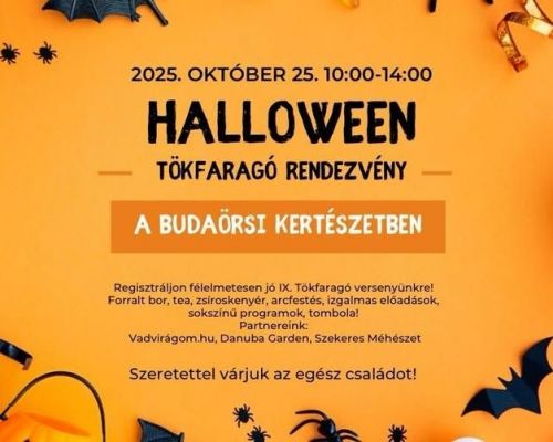 Tökfaragás_2024_2025